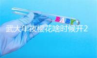 武大年夜樱花啥时候开2024